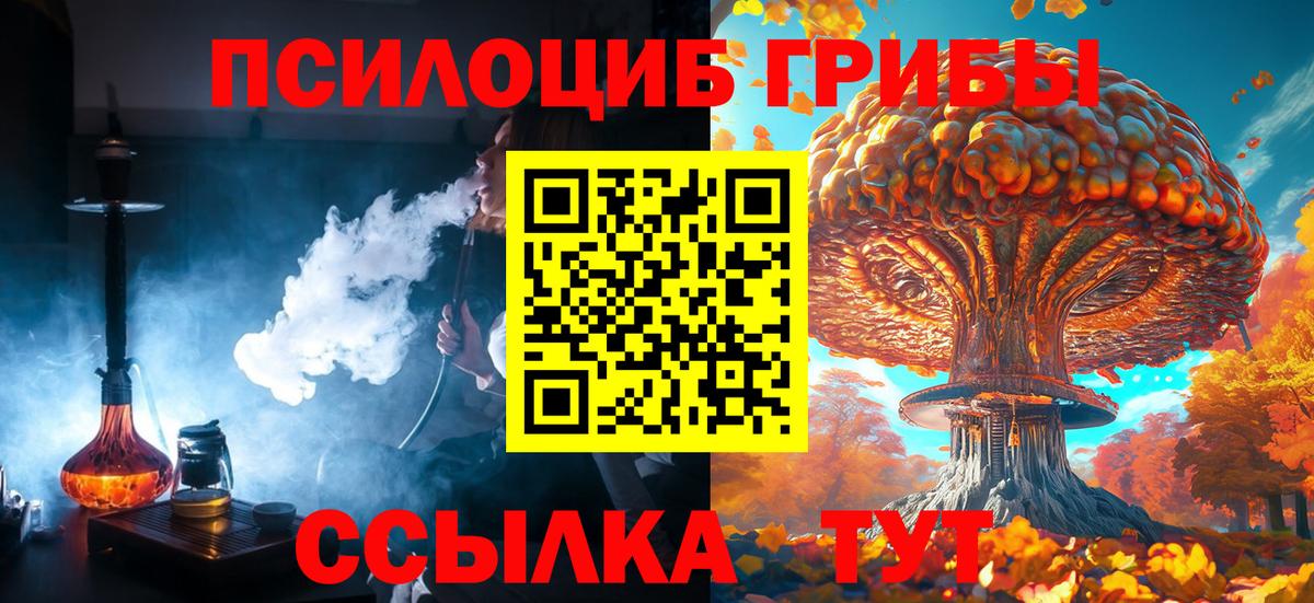 Воронеж  Галлюциногенные грибы Cubensis  Вход с VPN 