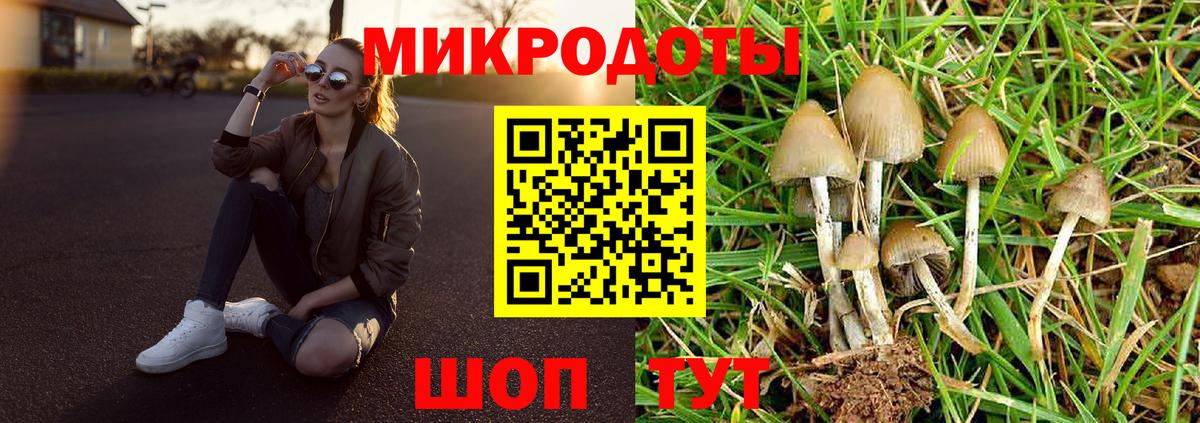 Галлюциногенные грибы Cubensis Воронеж